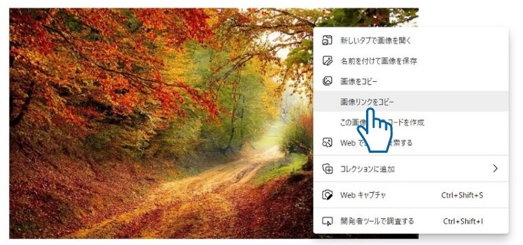 Wordpress画像を挿入する